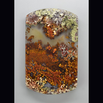 Agata muschiata indonesiana 187.78 ct.