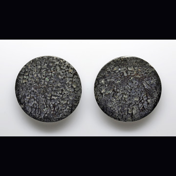 Dinosaur bone pair 41.86 ct.