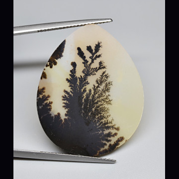 Agata dendritica 11.38 ct.