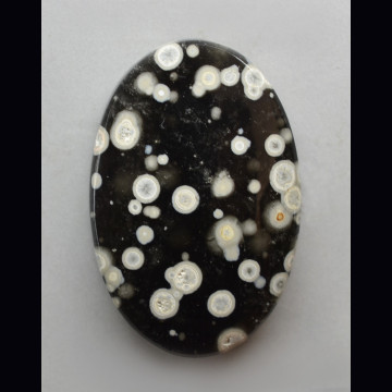 Ossidiana cosmica 16.81 ct.