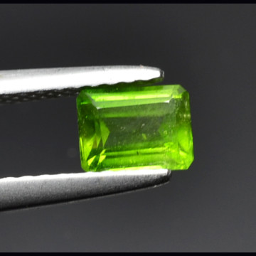 Chromian diopside 0.63 ct.