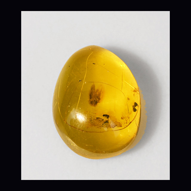 Amber with insect 3.11 ct.