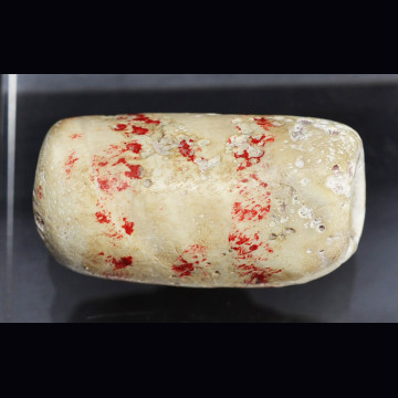 Ancient shell bead  16.94 gr.