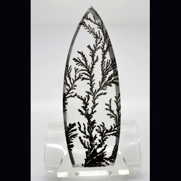 DENDRITIC QUARTZ  237.9 ct.