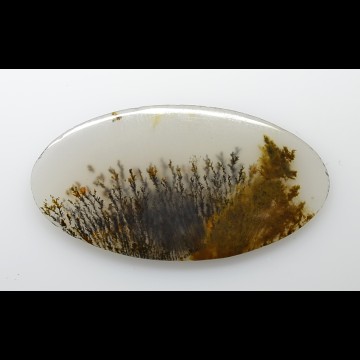 Moss agate 11.05 ct.