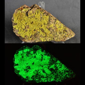 Autunite 254 gr.