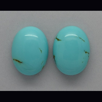 Turquoise pair 29.35 ct.