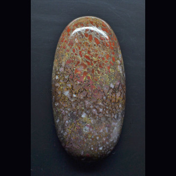 Dinosaur bone  119.94 ct.