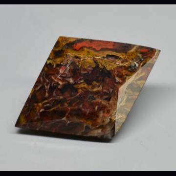 Osso di dinosauro  6.74 ct.