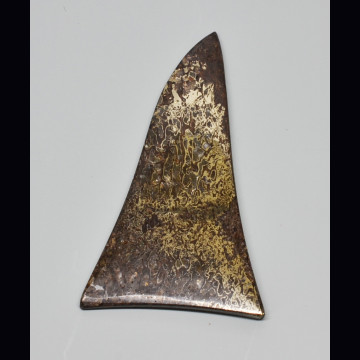 Osso di plesiosauro  45.16 ct.