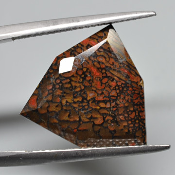 Dinosaur bone 7.33 ct.