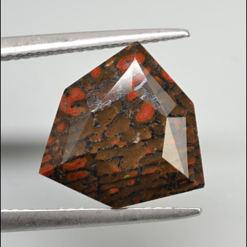 Dinosaur bone  5.12 ct.