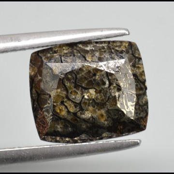 Plesiosaurus bone  5.49 ct.