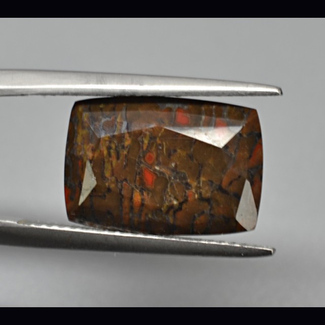 Dinosaur bone 5.69 ct.
