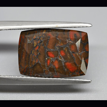 Dinosaur bone 5.69 ct.