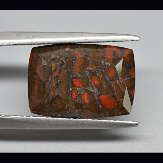 Dinosaur bone 5.69 ct.