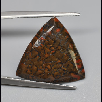 Dinosaur bone  8.95 ct.