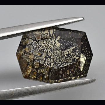 Plesiosaurus-dinosaur bone 6.78 ct.