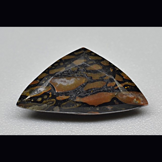 DINOSAUR BONE  2.95 ct.