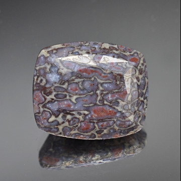 Dinosaur bone 4.43 ct.
