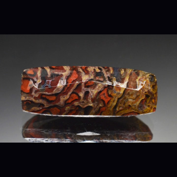 DINOSAUR BONE 3.83 ct.