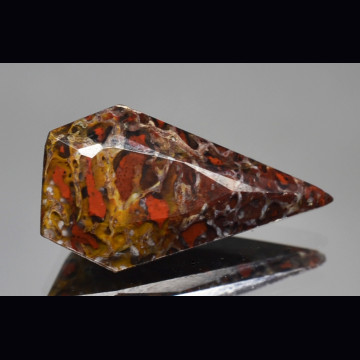 DINOSAUR BONE 6.35 ct.